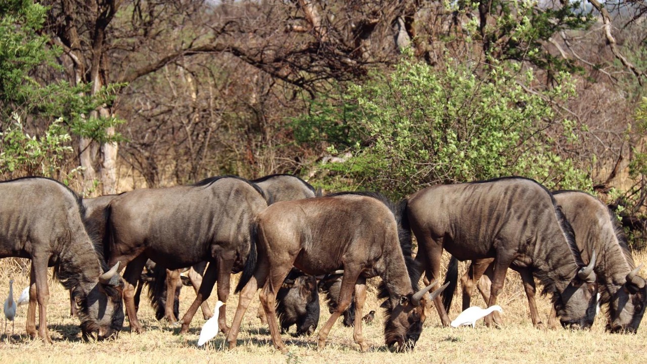 Photo of Outdoor in Hammanskraal