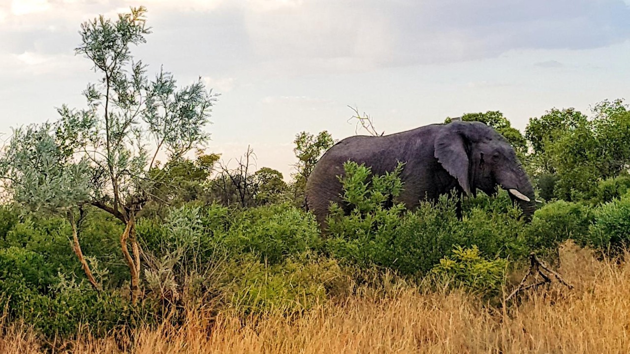 Photo of Outdoor in Hammanskraal