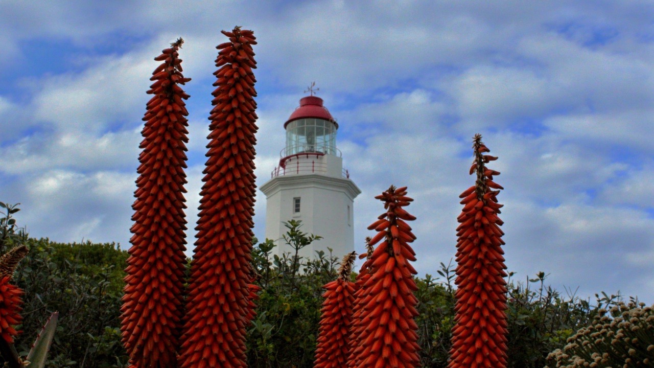 Photo of Outdoor in Franskraal