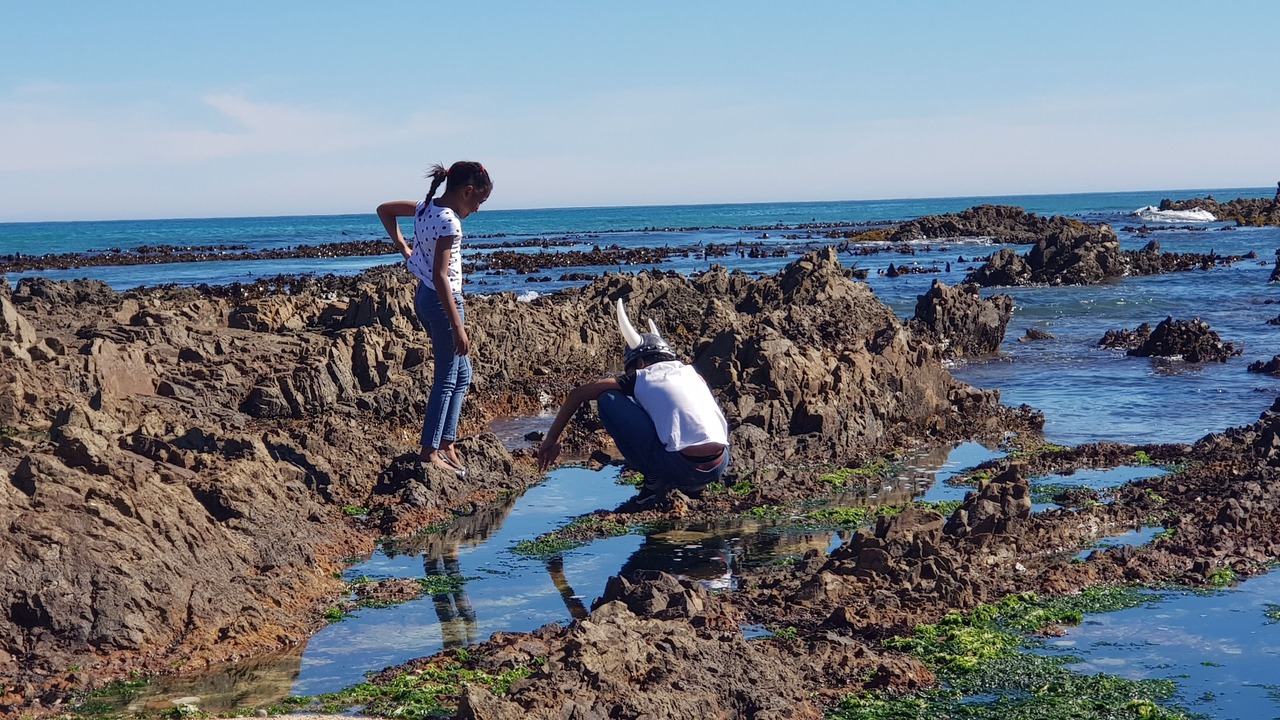 Photo of Others in Franskraal