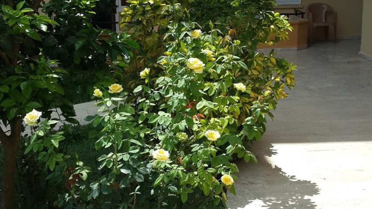 Photo of Outdoor in Kemer