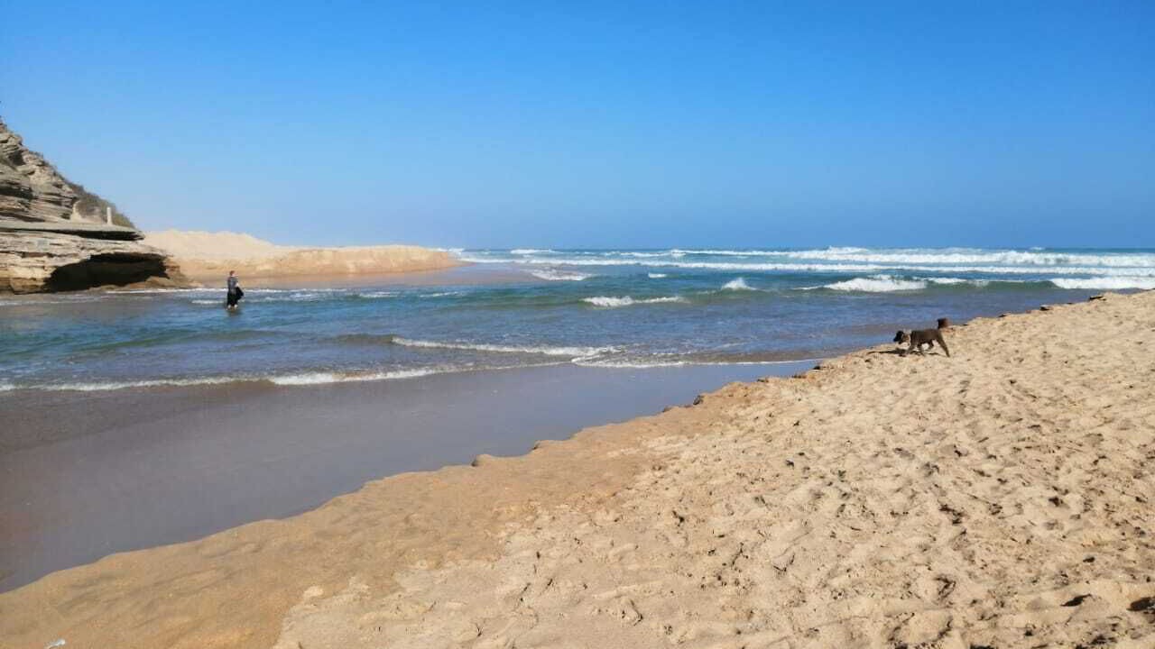 Photo of Others in Great Brak River