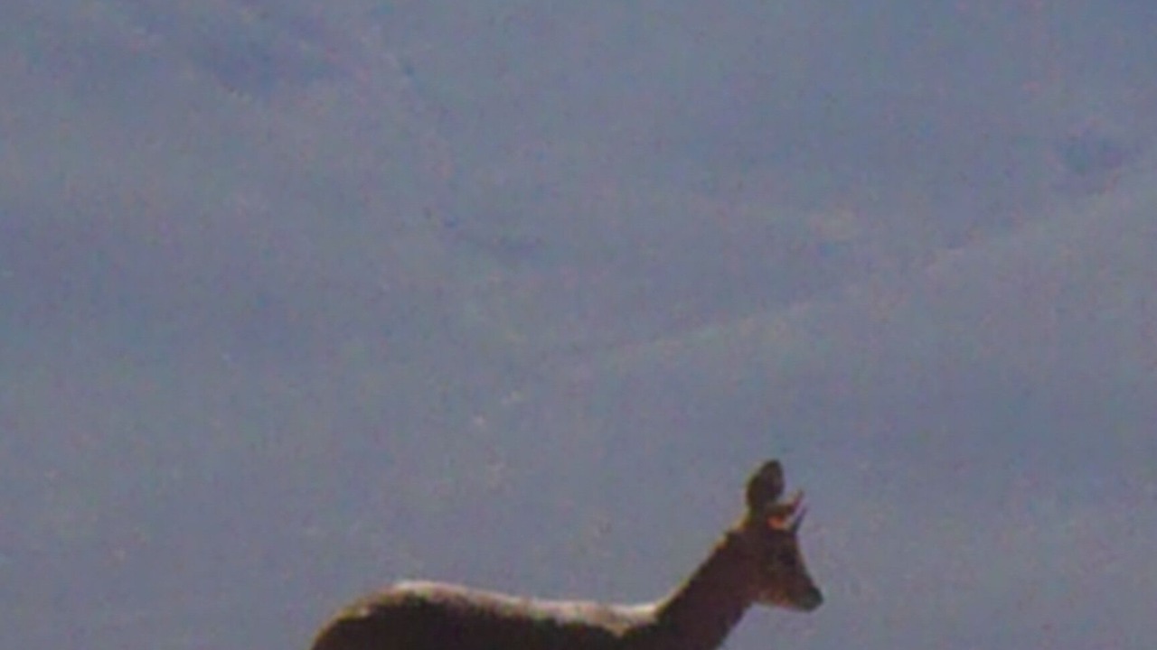 Photo of Others in Prince Albert