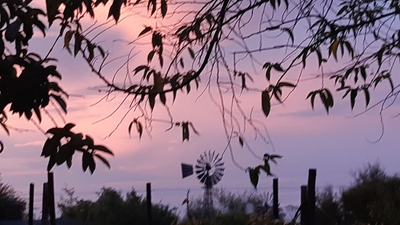 Photo of Outdoor in Prince Albert
