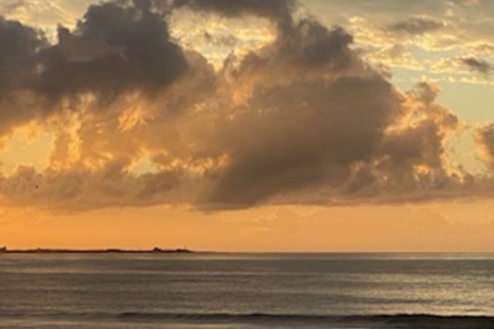Photo of Others in Shelley Point