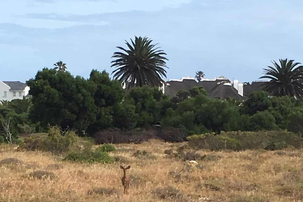 Photo of Others in Shelley Point