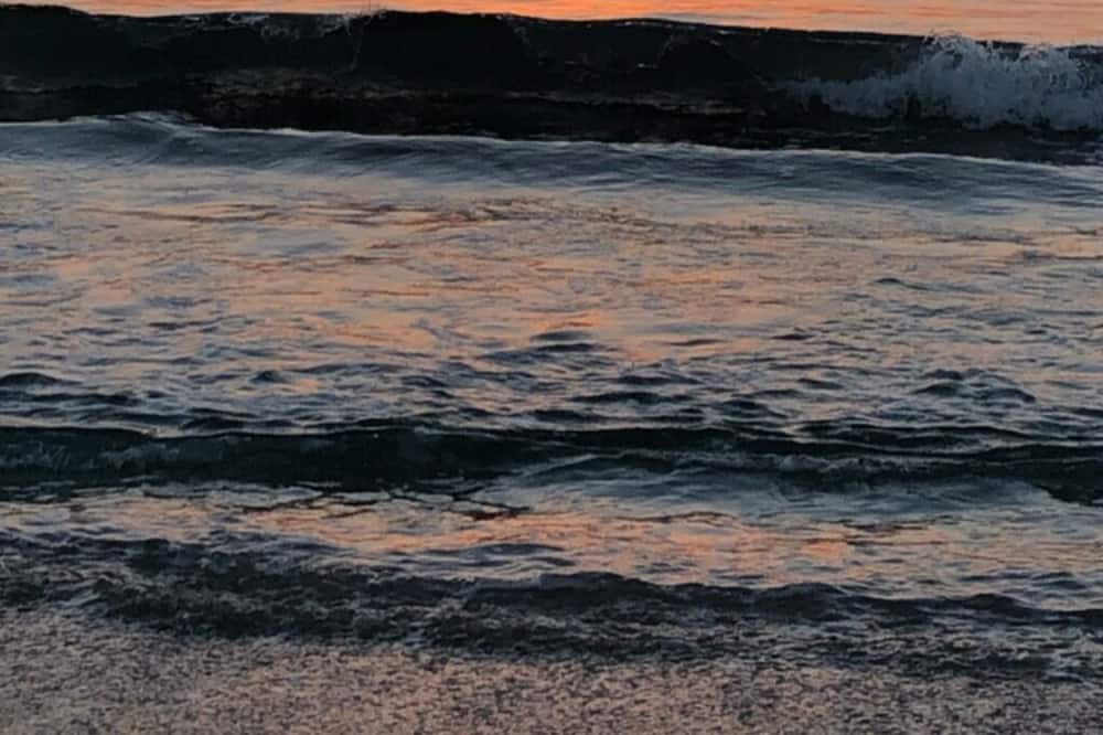 Photo of Others in Shelley Point