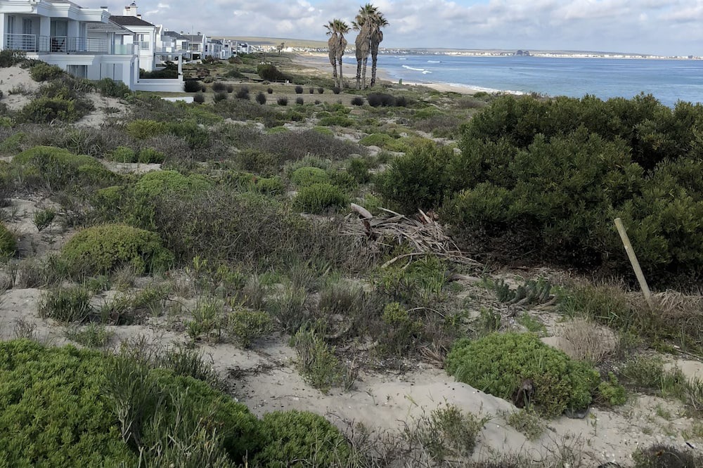 Photo of Others in Shelley Point