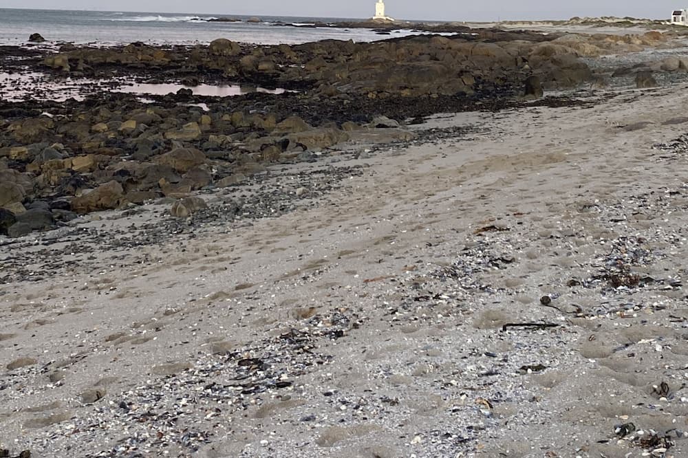 Photo of Others in Shelley Point