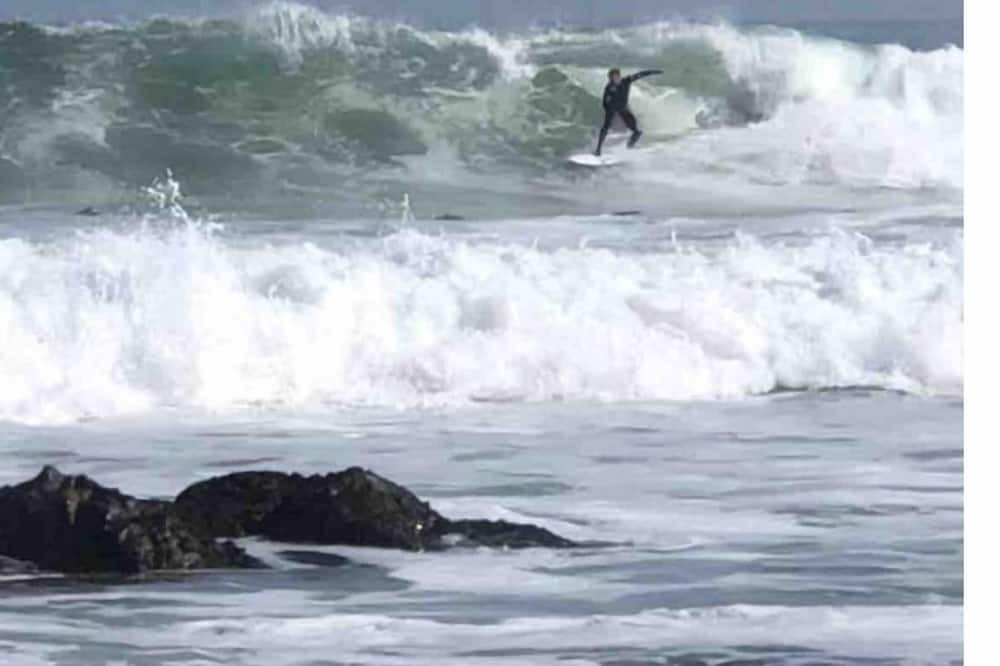 Photo of Others in Shelley Point