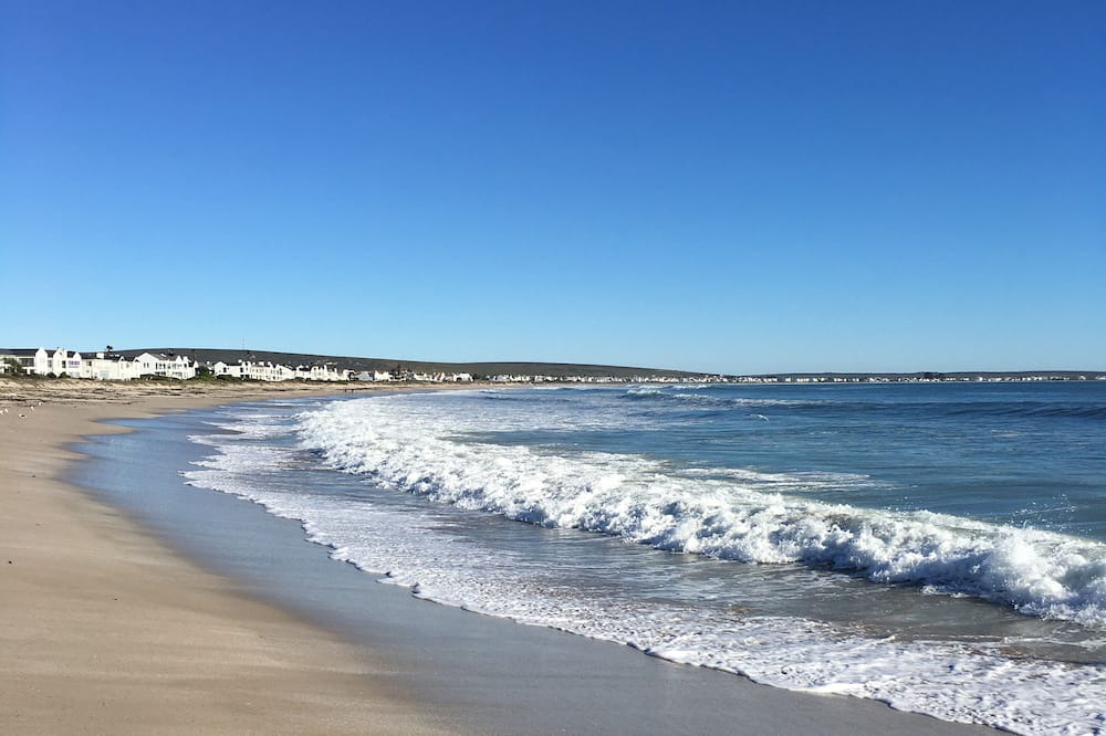 Photo of Others in Shelley Point