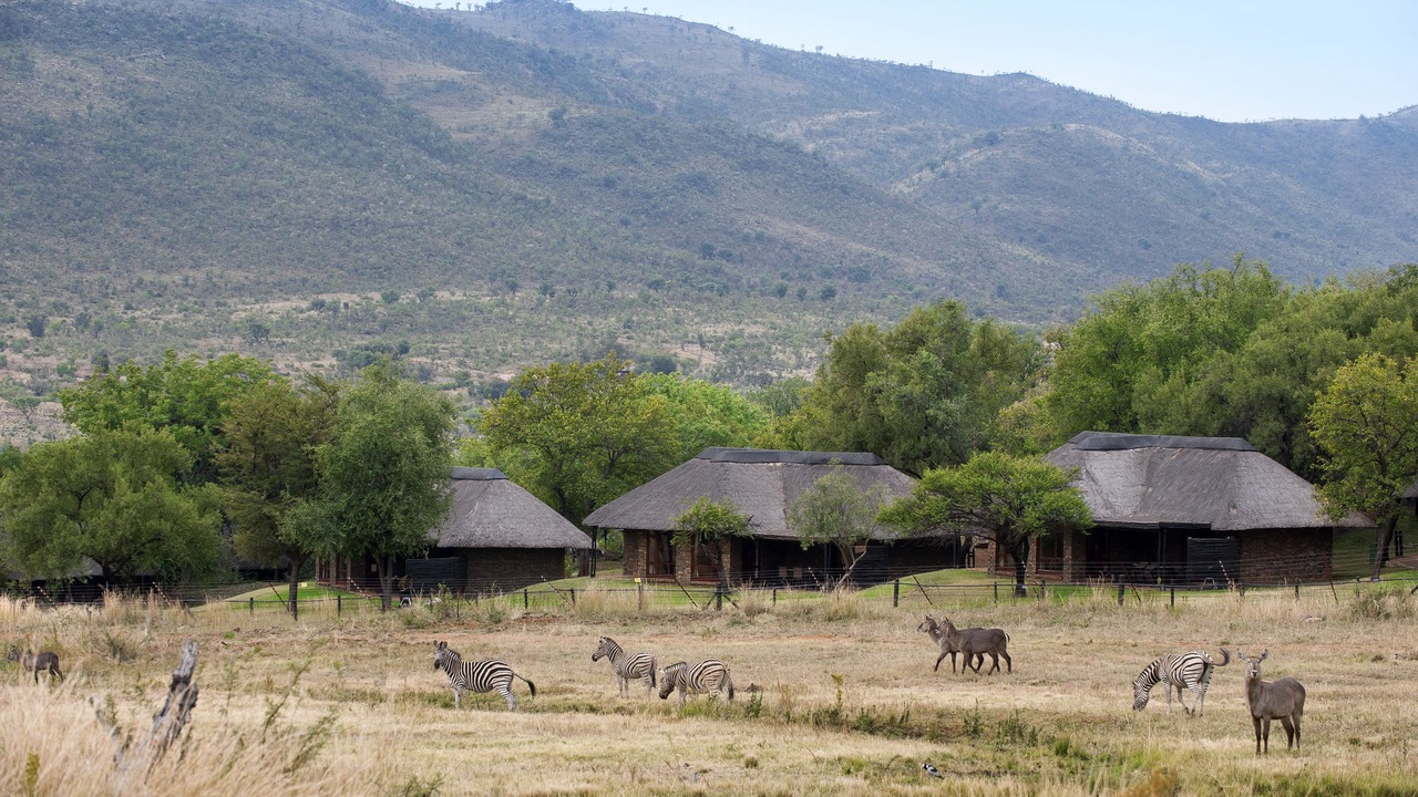 Photo of Outdoor in Ledig