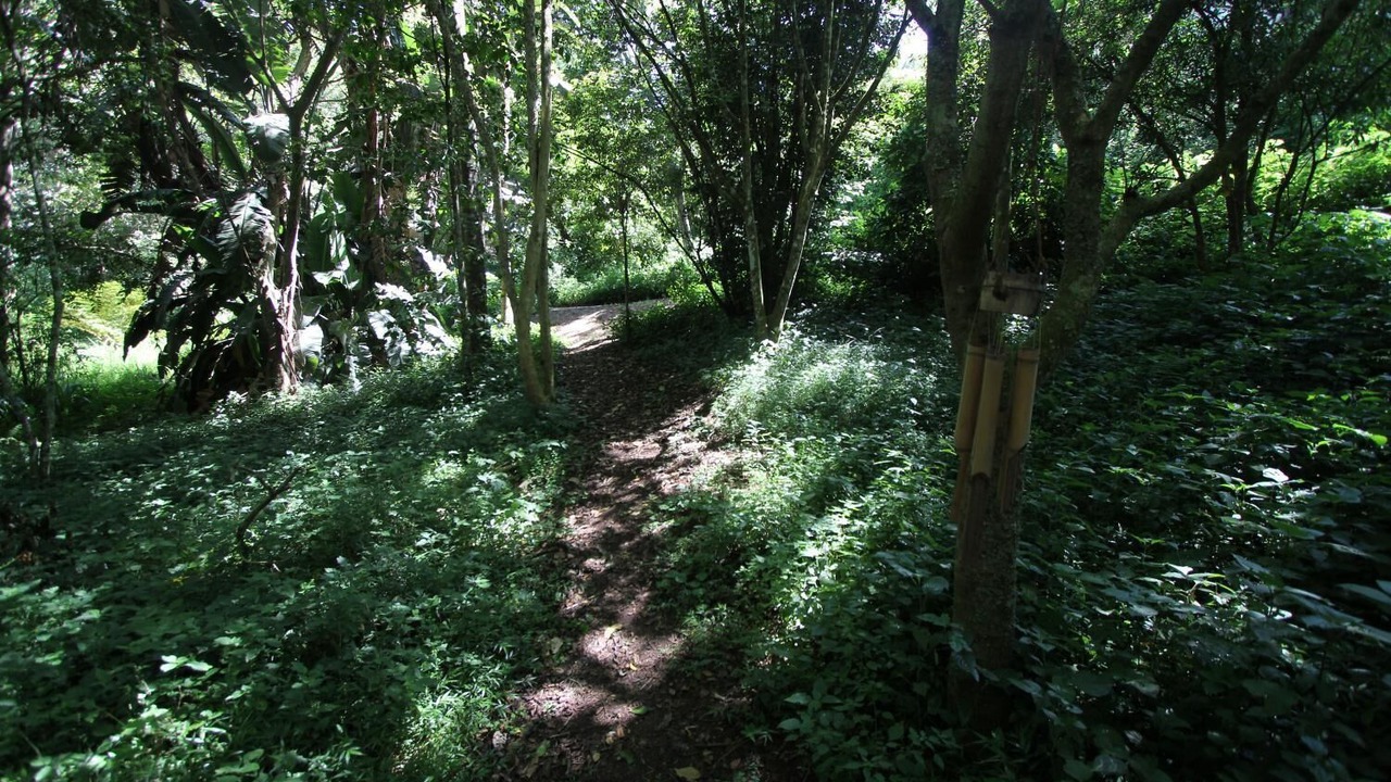 Photo of Outdoor in Kloof