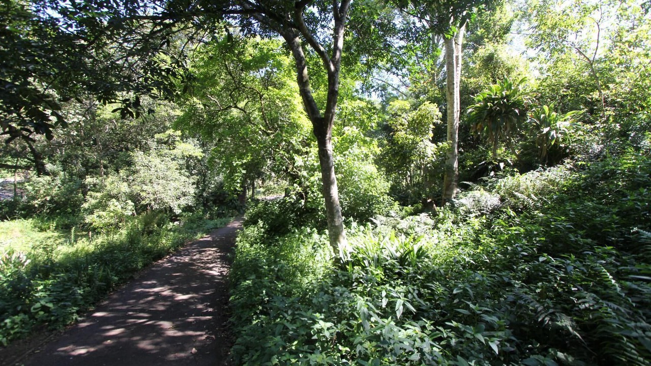Photo of Outdoor in Kloof