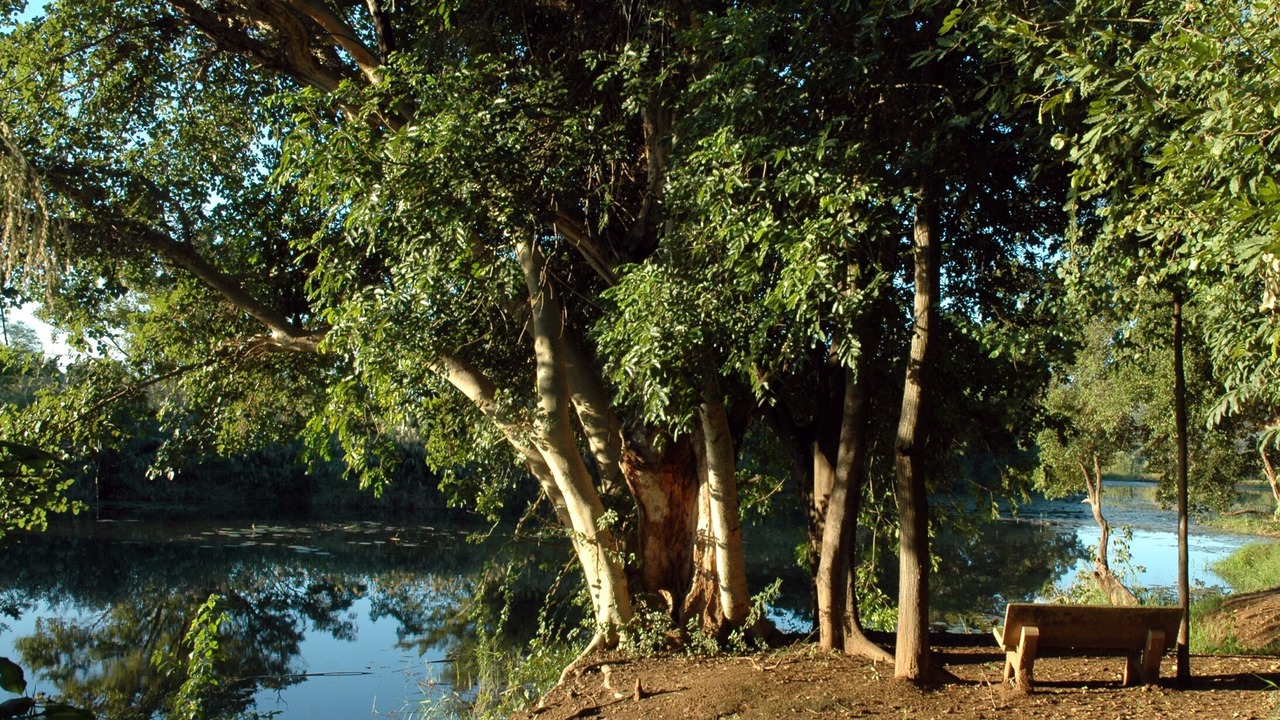 Photo of Outdoor in Komatipoort