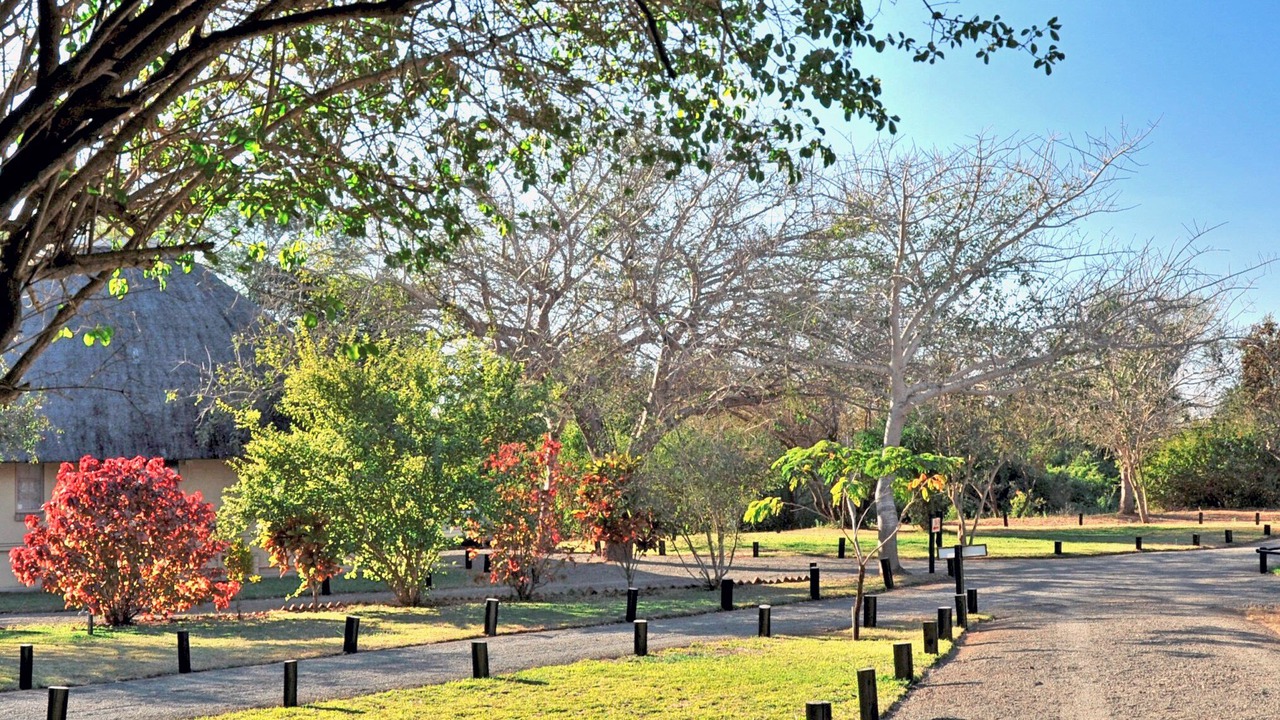 Photo of Outdoor in Komatipoort