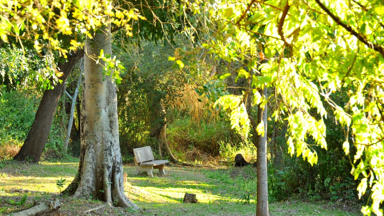Photo of Outdoor in Komatipoort