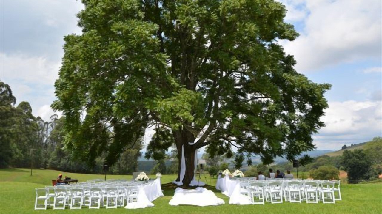 Photo of Outdoor in Curry's Post