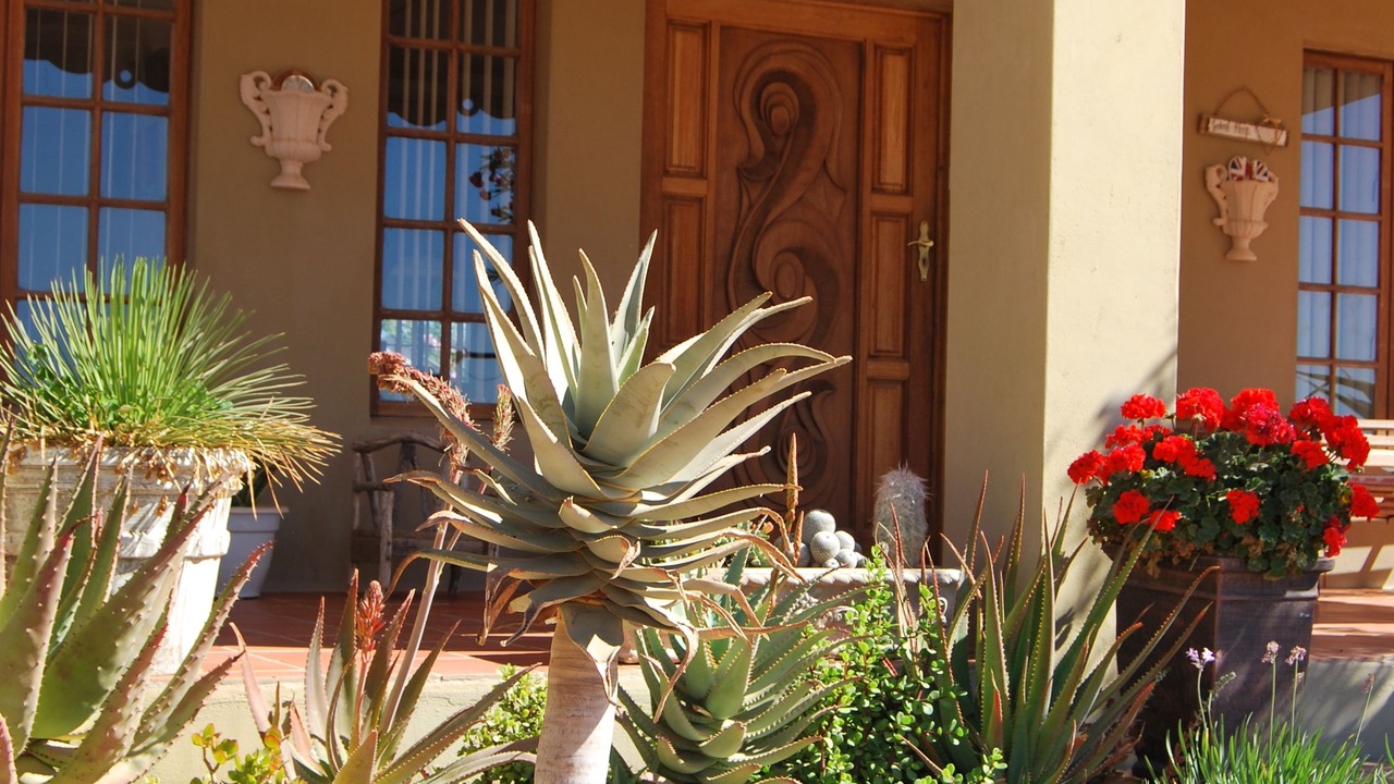 Photo of Outdoor in Leliefontein
