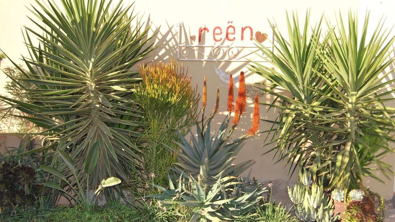 Photo of Outdoor in Leliefontein