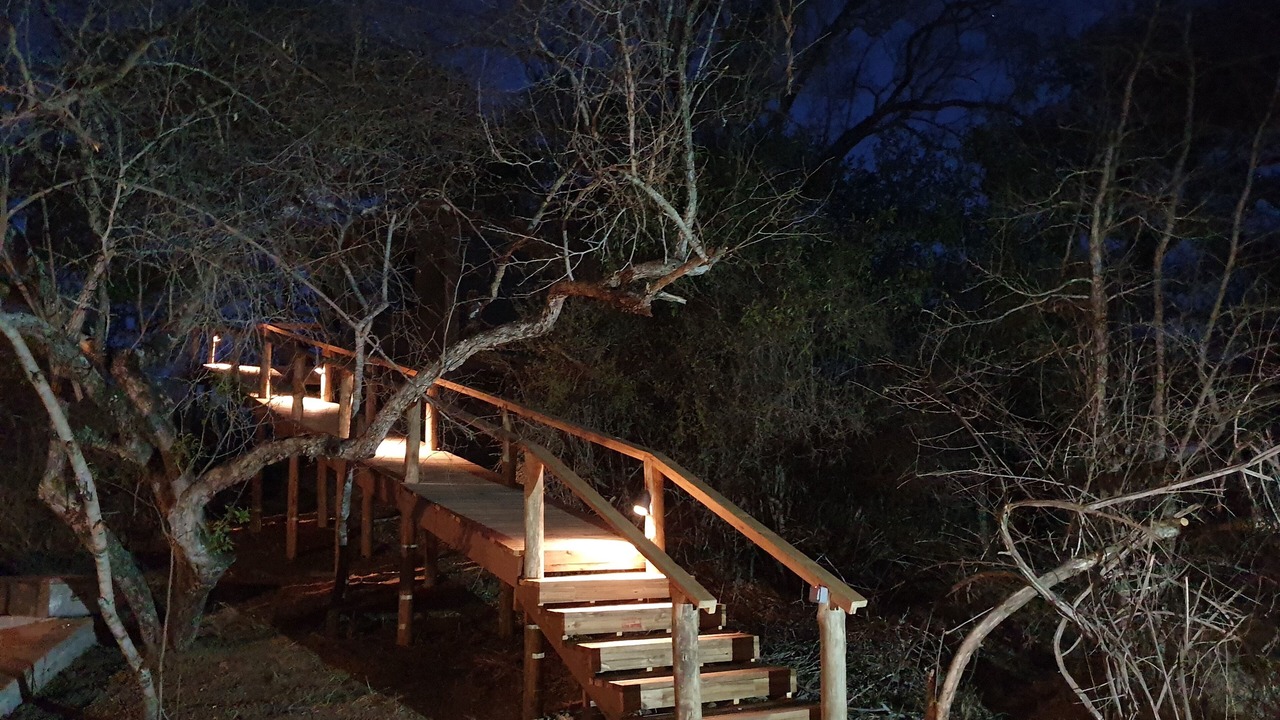 Photo of Others in Thorny Bush Game Reserve