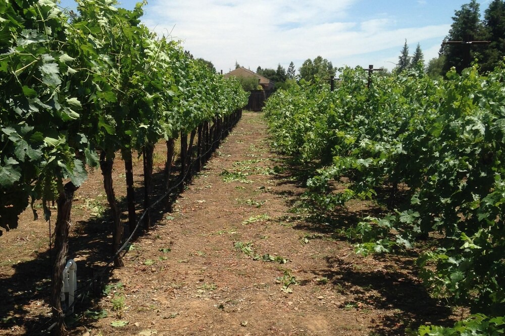 Photo of Outdoor in Morgan Hill