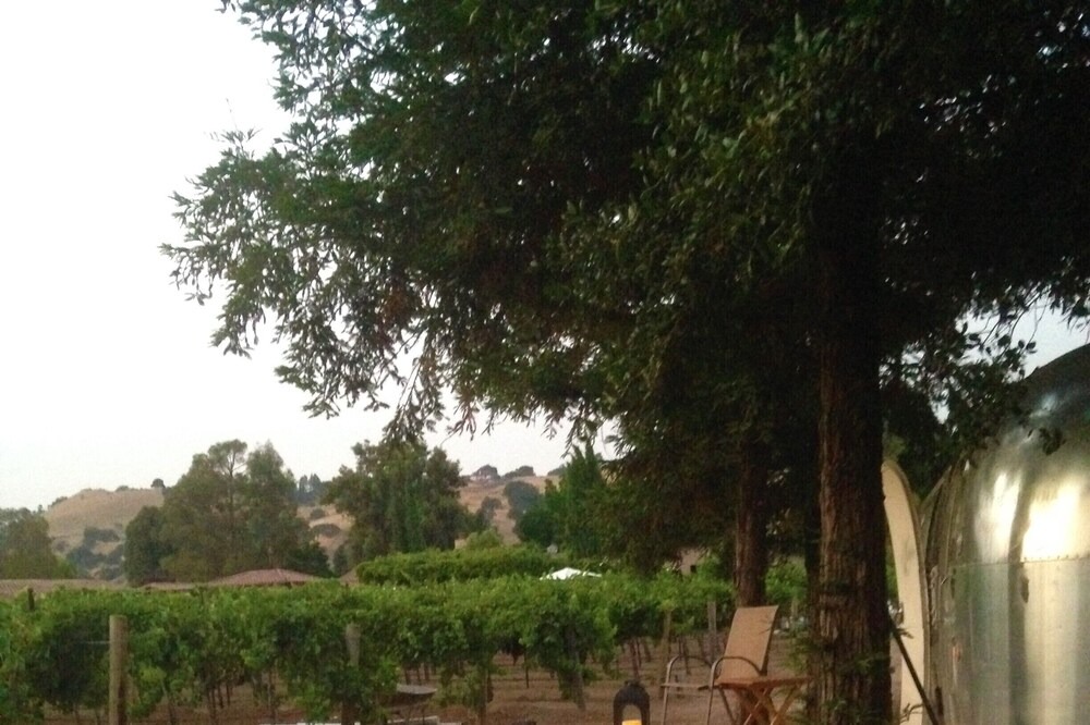 Photo of Outdoor in Morgan Hill