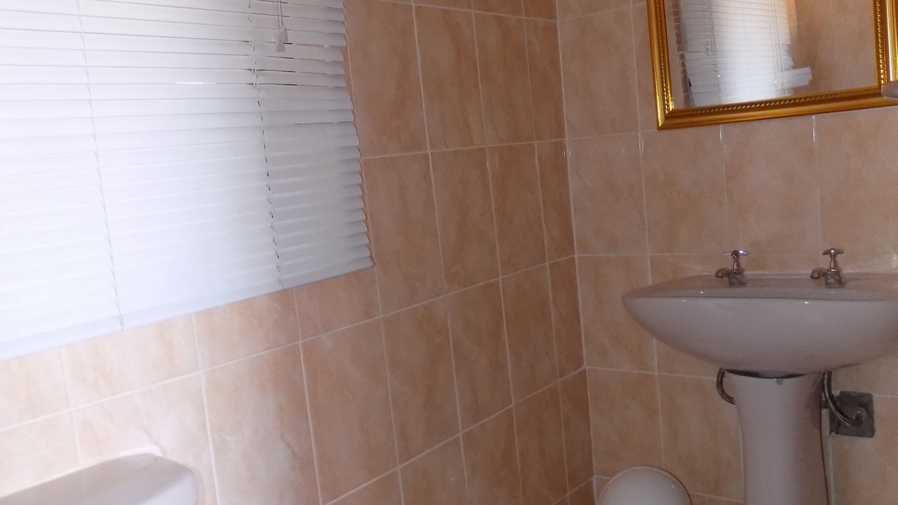 Photo of Bathroom in Moses Kotane