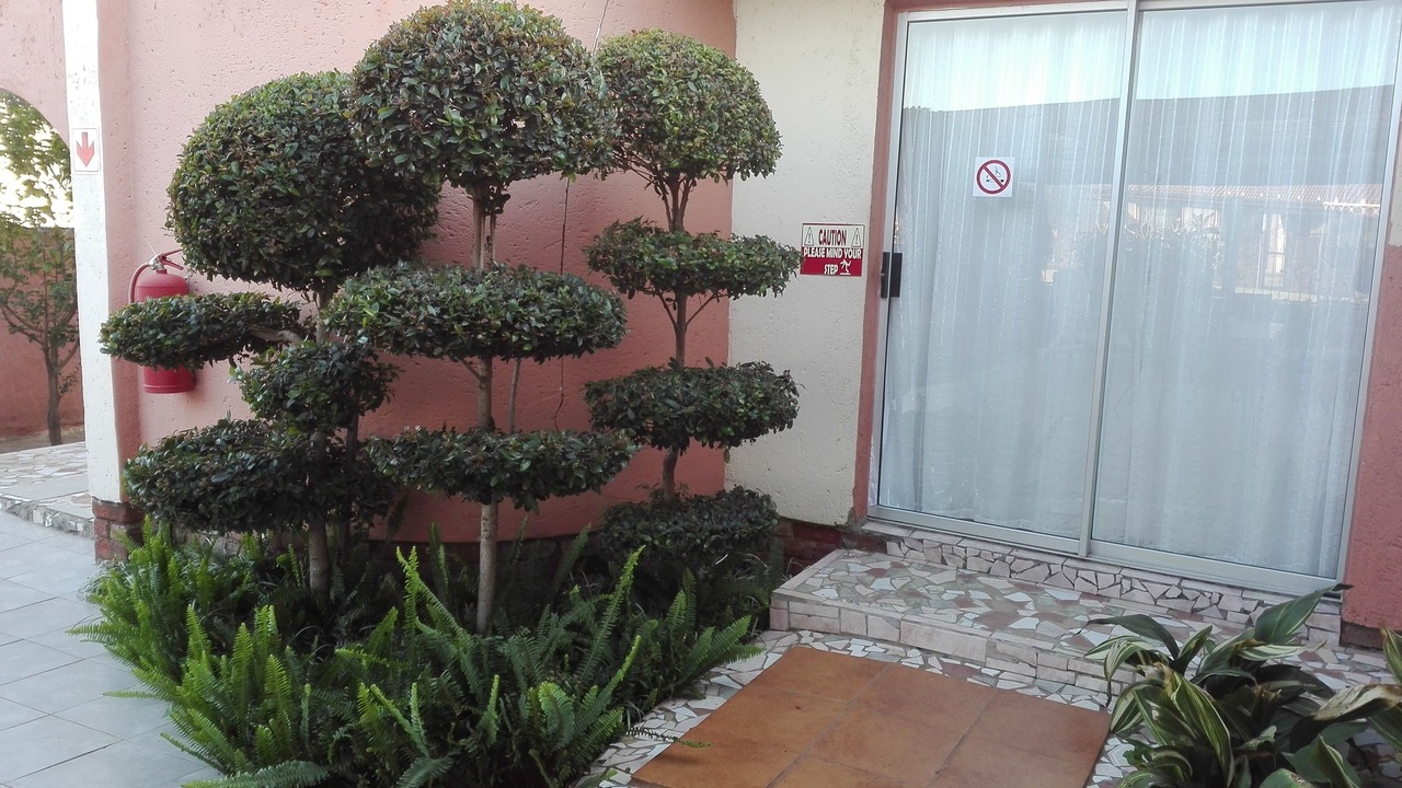 Photo of Outdoor in Moses Kotane