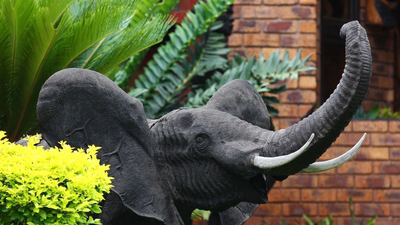 Photo of Outdoor in Mtunzini