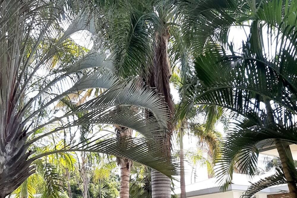 Photo of Outdoor in Musina