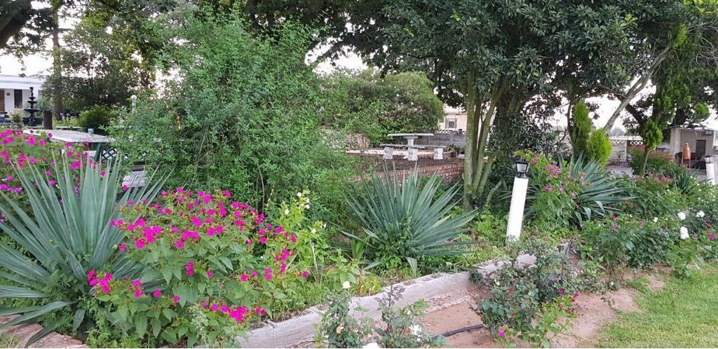 Photo of Outdoor in Ermelo