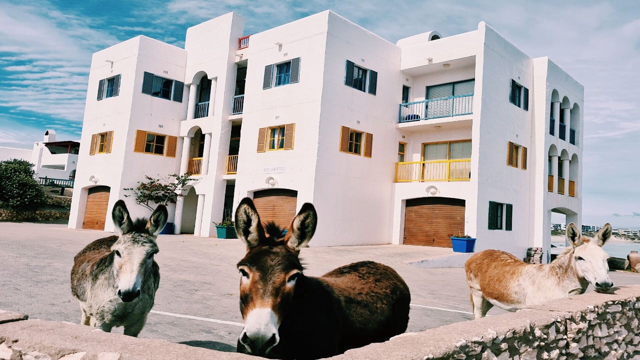 Photo of Outdoor in Calypso Beach