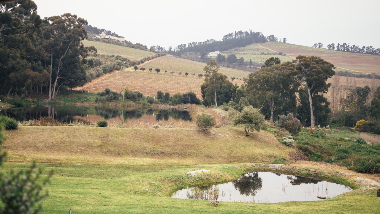 Photo of Others in Stellenbosch