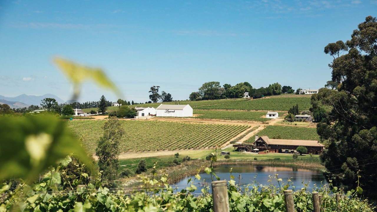 Photo of Others in Stellenbosch