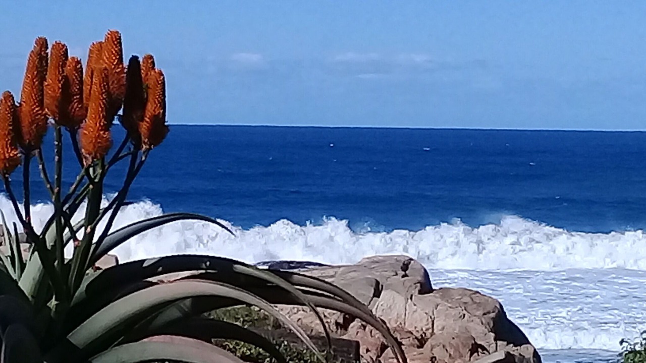 Photo of Others in Ramsgate Beach