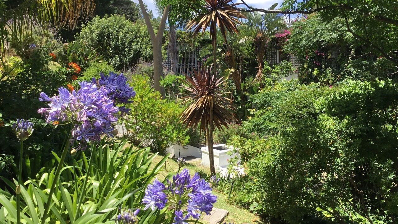 Photo of Outdoor in Noordhoek