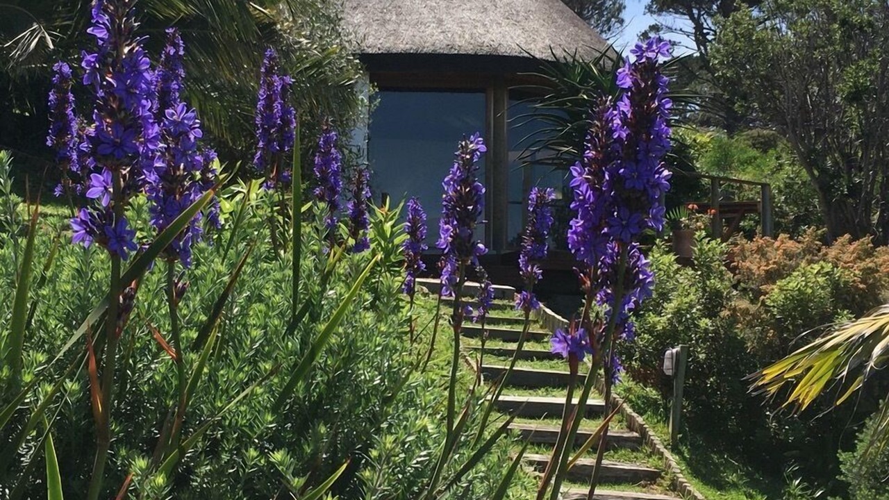 Photo of Bedroom in Noordhoek