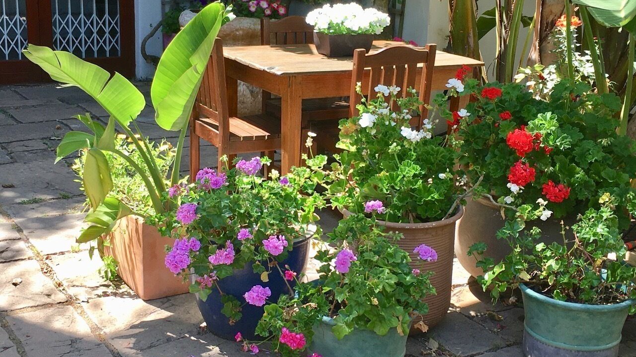 Photo of Outdoor in Noordhoek