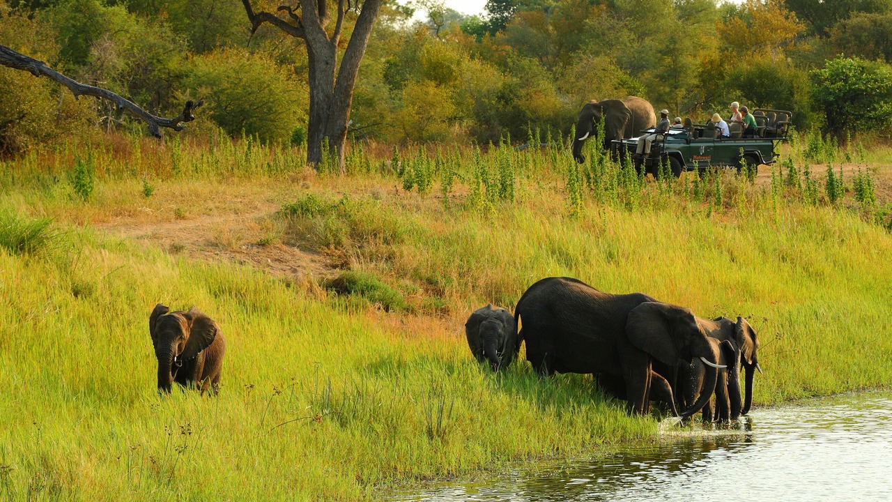 Photo of Others in Kruger National Park