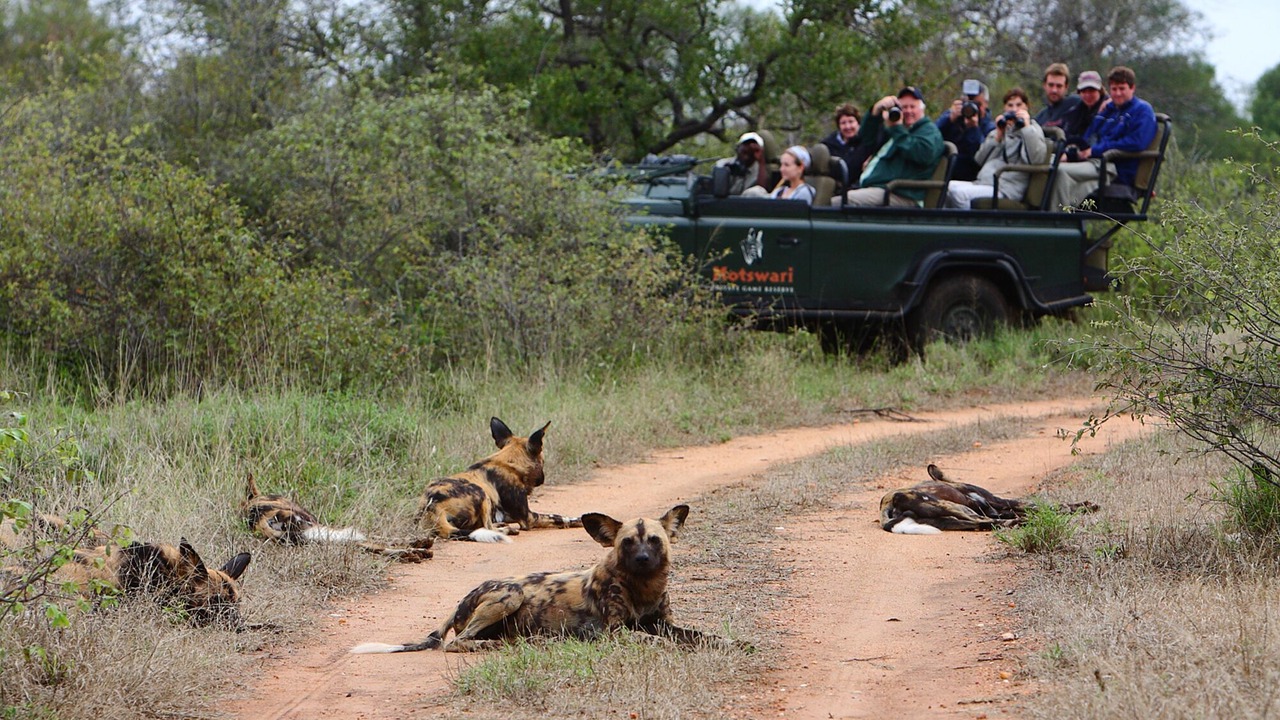 Photo of Others in Kruger National Park
