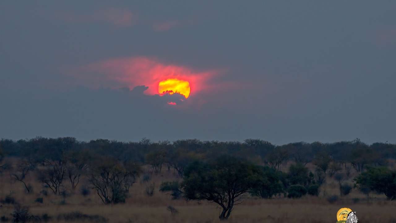 Photo of Others in Hammanskraal