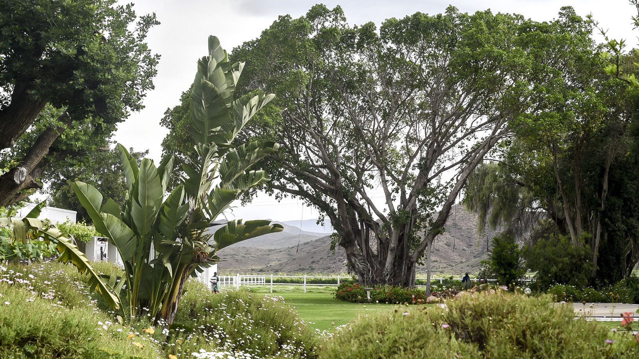 Photo of Outdoor in Langeberg