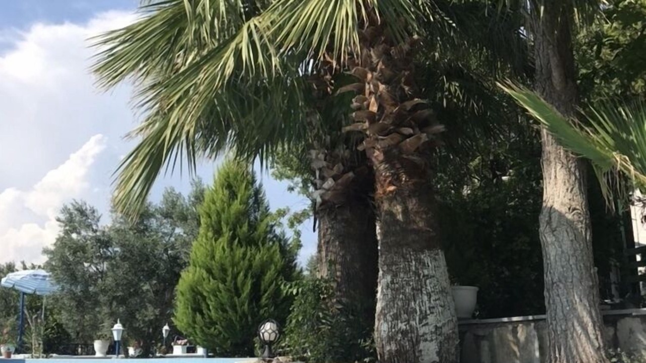 Photo of Outdoor in Dikili