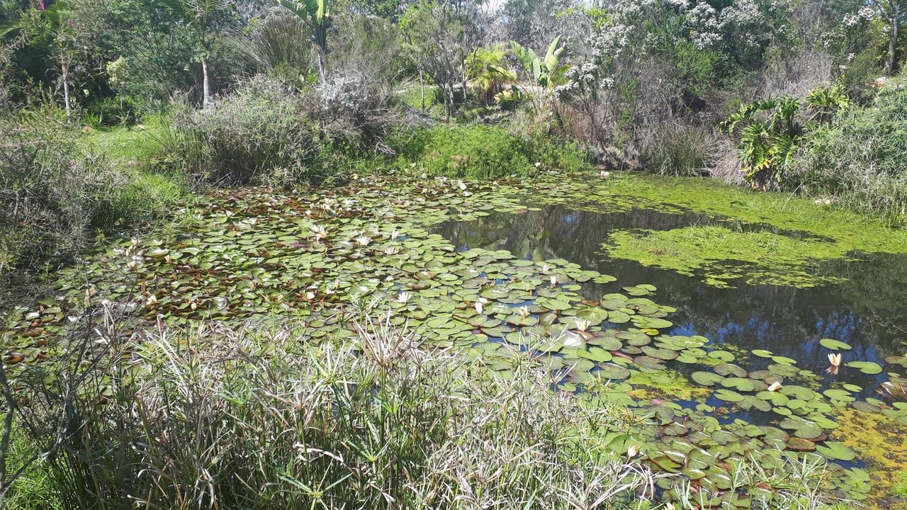 Photo of Outdoor in Die Barakke