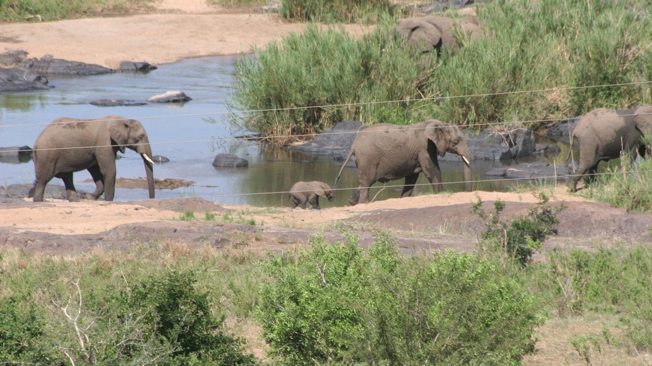 Photo of Outdoor in Komatipoort