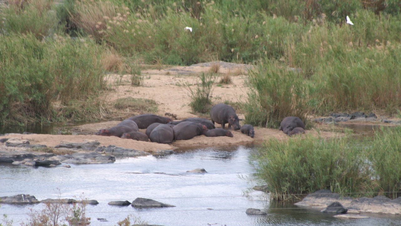 Photo of Outdoor in Komatipoort
