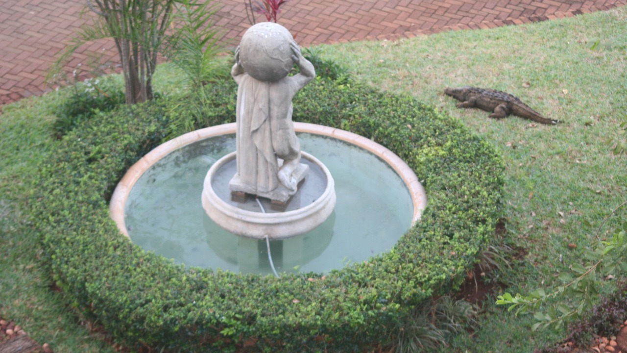 Photo of Outdoor in Komatipoort