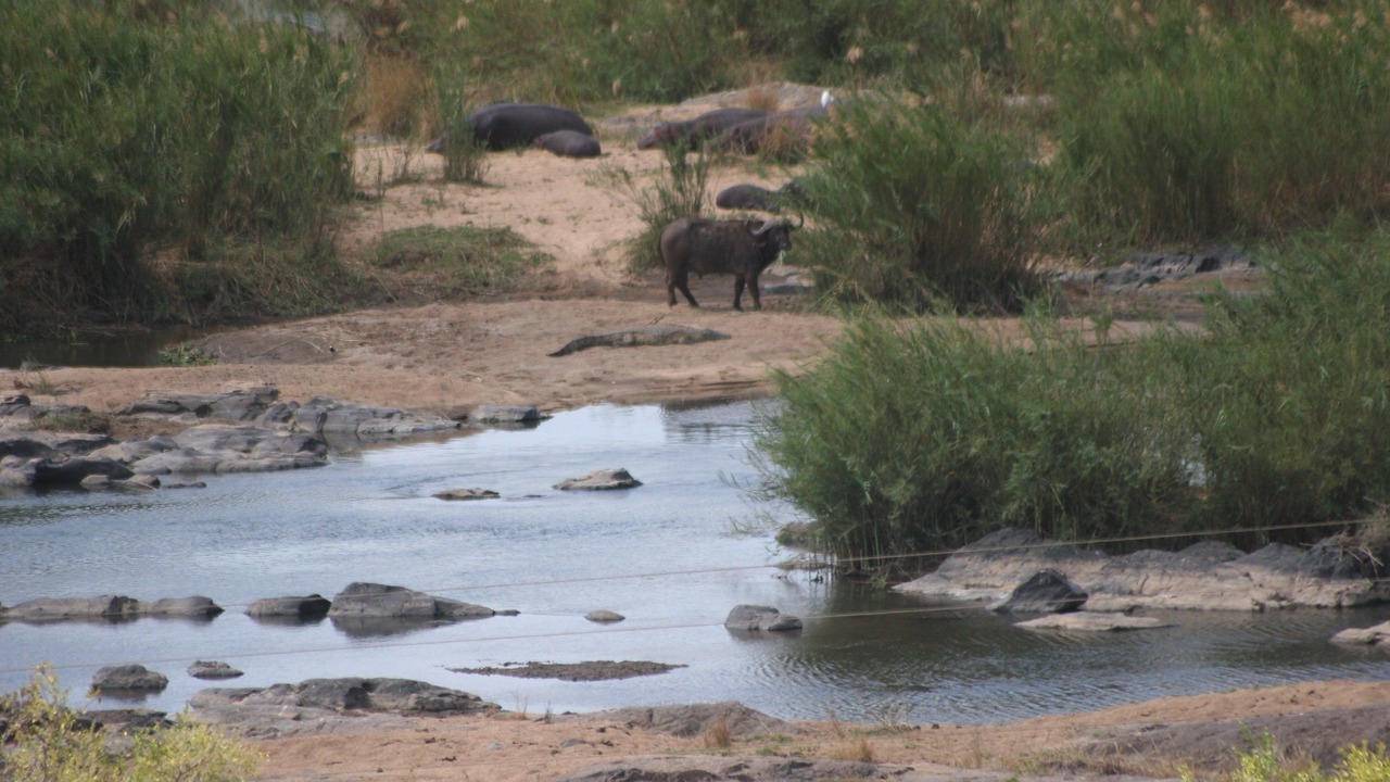 Photo of Outdoor in Komatipoort