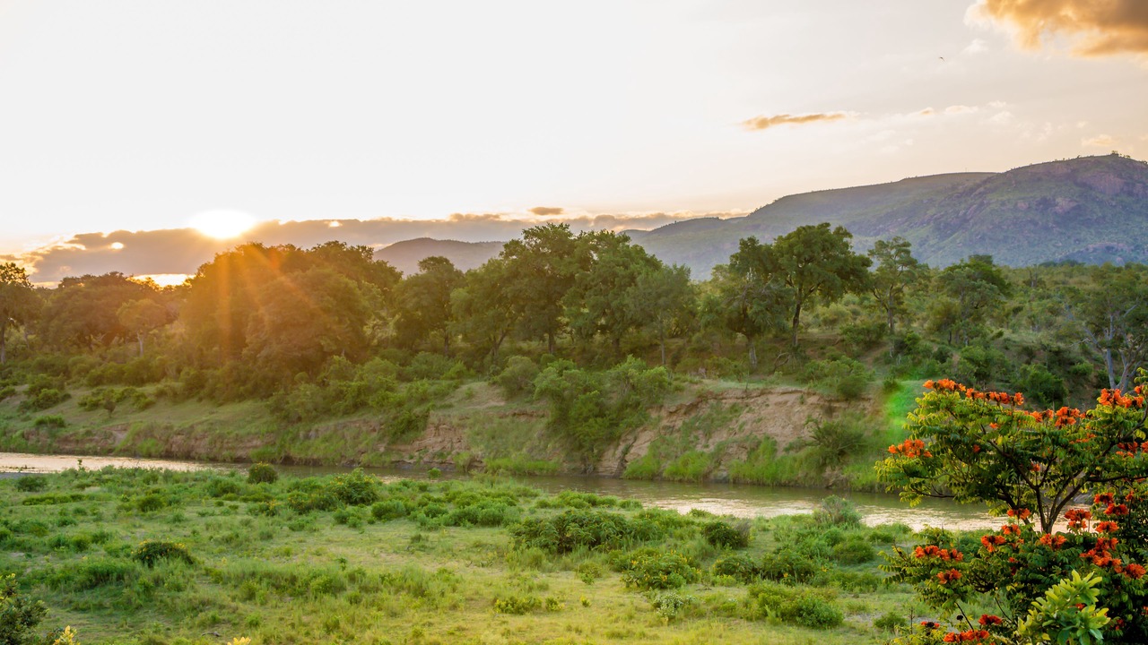 Photo of Outdoor in Malelane